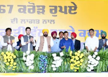 Bhagwant Mann and Arvind Kejriwal addressed the public meeting. (Supplied)