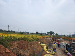 Dejected over unemployment, Sudhakar now farms marigold in his 3-acre land in Warangal. (Anusha Ravi Sood/South First)