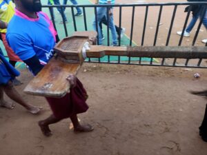 The Halage plough that is tied to the pair of buffaloes that splashes water to a height