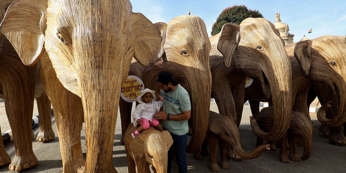 Lanata elephants displayed infront of Vidhana Soudha. (Supplied)