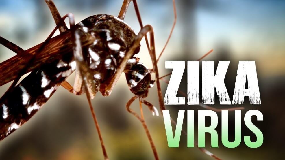 Zika virus detected in Karnataka's Chikkaballapura, health officials  clarify there are 'no cases in humans' - The South First