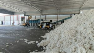 Cotton is the major crop in Kodangal Assembly segment. (South First)