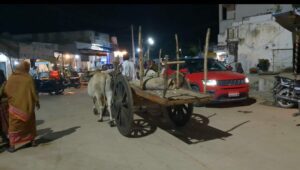 A bullock cart passing nearby Karne Sirisha's campaign. (Bhaskar Basava/ South First)