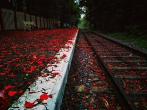 Platform at Melattur station. Photo: Kerala Tourism