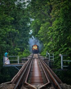 Train on Nilambur-shornur route, the greenset in kerala. Photo: Kerala Tourism.
