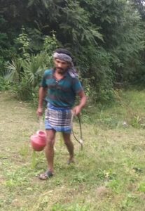 A toddy tapper at work at Chittur. Photo: K A Shaji