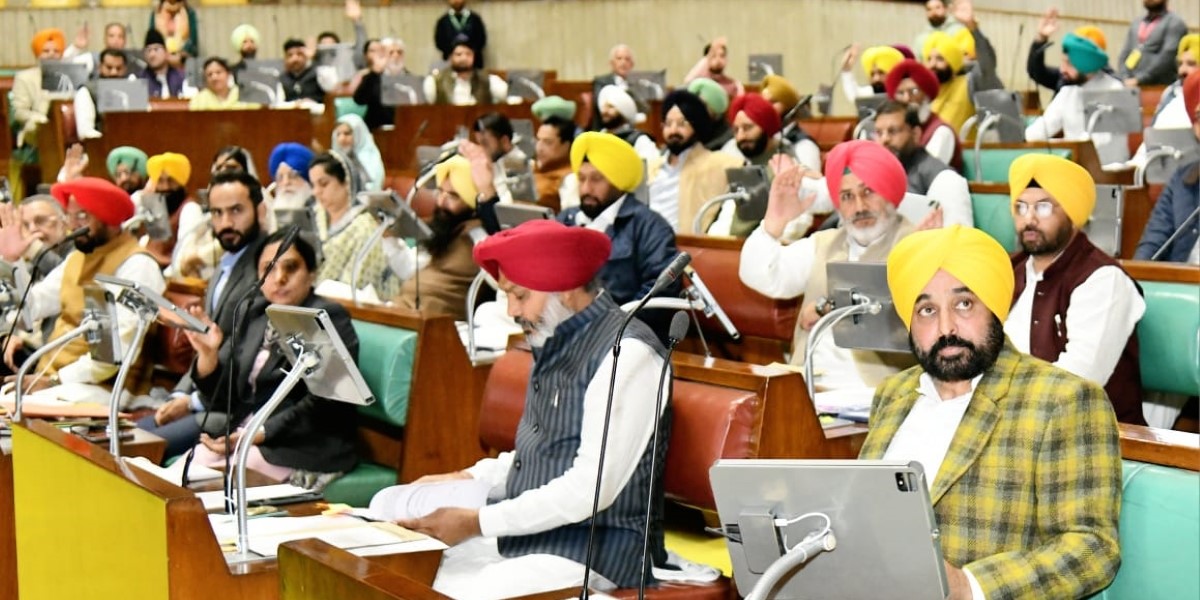 Punjab to extend ration card benefits to single mothers, people with HIV, cancer