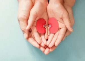 Organ Donors Representative Photo