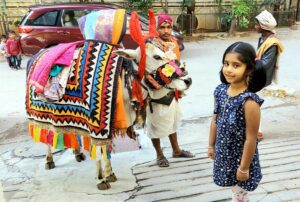 The sound of the nadaswaram of the gandireddu would fill the streets on the day of Sankranthi. (Supplied)