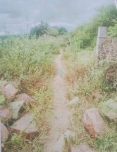 A narrow path for the burial ground through farms. (Supplied)