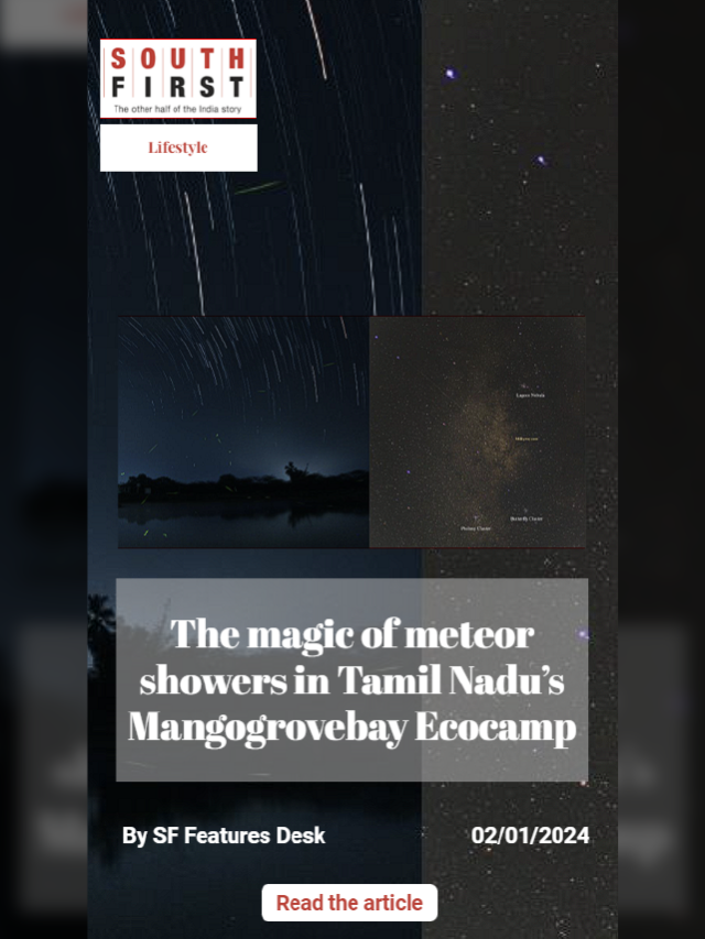The magic of meteor showers in Tamil Nadu’s Mangogrovebay Ecocamp