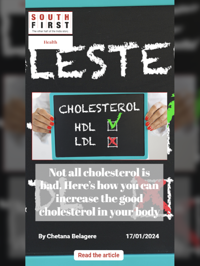 Not all cholesterol is bad. Here’s how you can increase the good cholesterol in your body