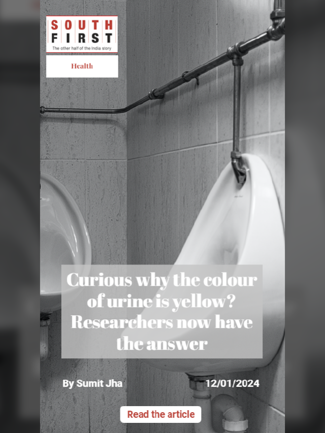 Curious why the colour of urine is yellow? Researchers now have the answer