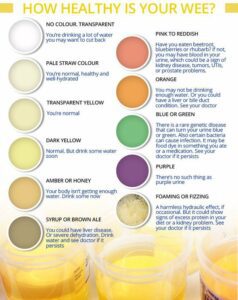 Urine colour chart. (Sourced)