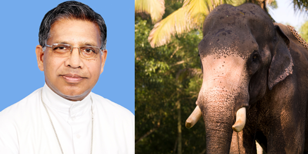 Church flays Kerala government over death of man trampled by wild elephant