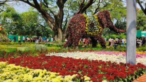 This botanical haven has now been transformed with 12 lakh plants for the live flower show. (South First/Roshne Balasubramanian)