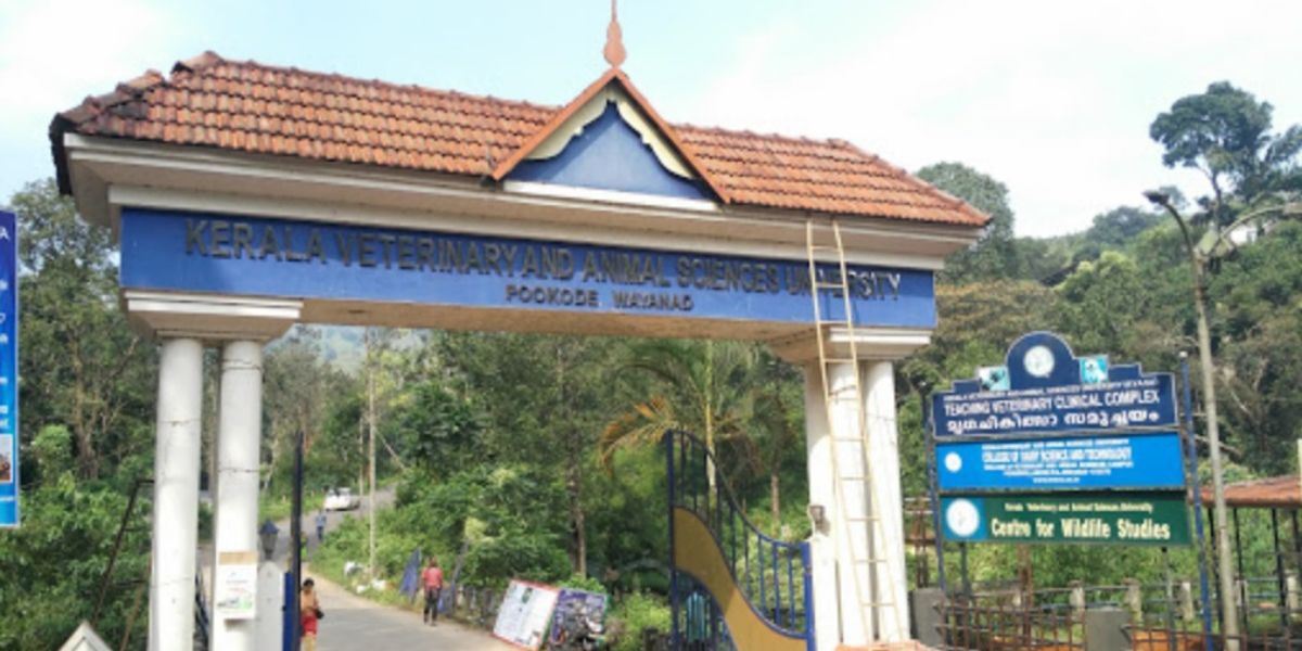 Kerala Veterinary and Animal Sciences University in Wayanad