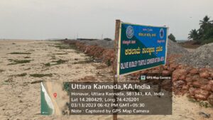 Kutcha road being made by dumping debris in June 2021 on the nesting grounds of Olive Ridley Turtles on the beach