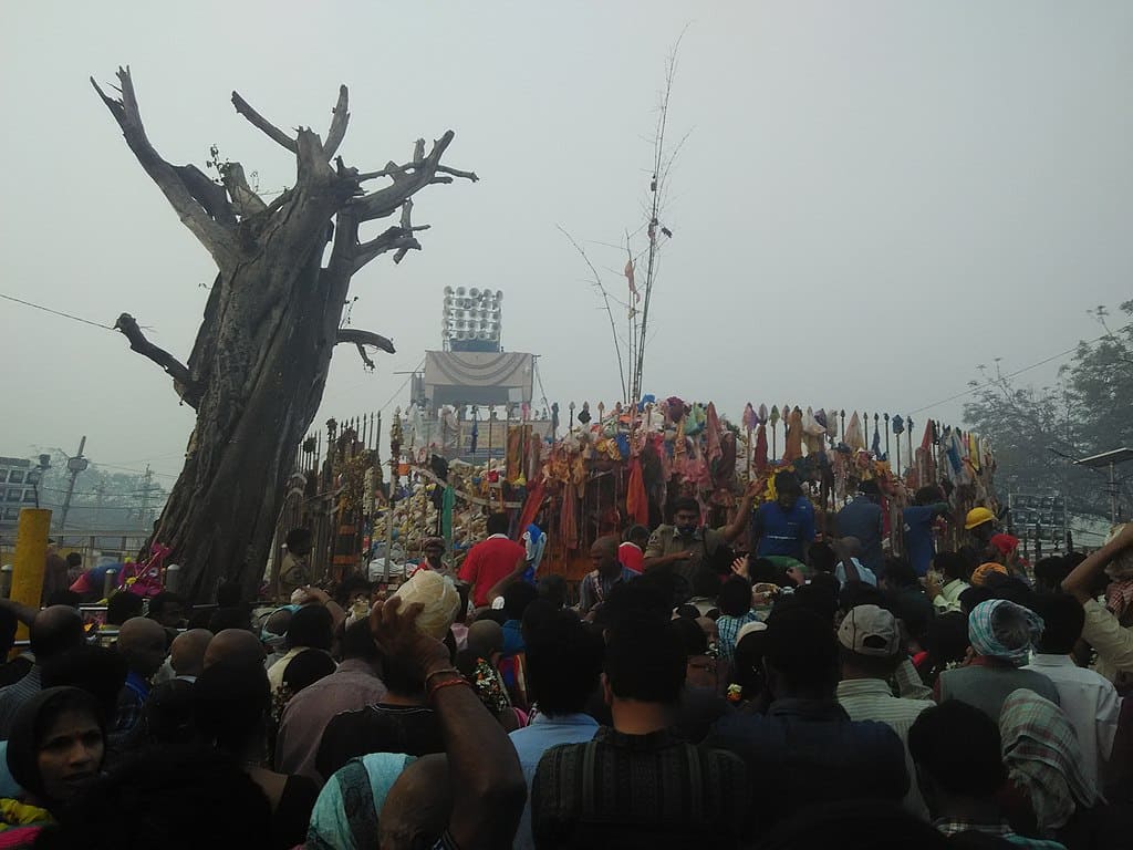Tribal festival Sammakka Saralamma Maha Jathara begins in Telangana