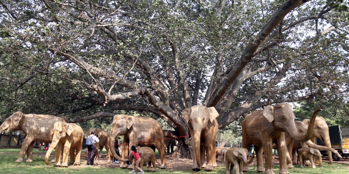 The highlight of the month-long fest includes 100 lantana elephants, symbolising coexistence, displayed across various locations such as lakes, colleges, metro stations, and key institutions, with a concentration at Cubbon Park and Lalbagh.