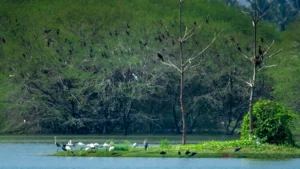 Vellode Bird Sanctuary. (Tamil Nadu Tourism official website)
