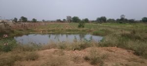 L Krishna shares his farm pond 