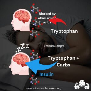 Two chemicals that play a role in feeling sleepy