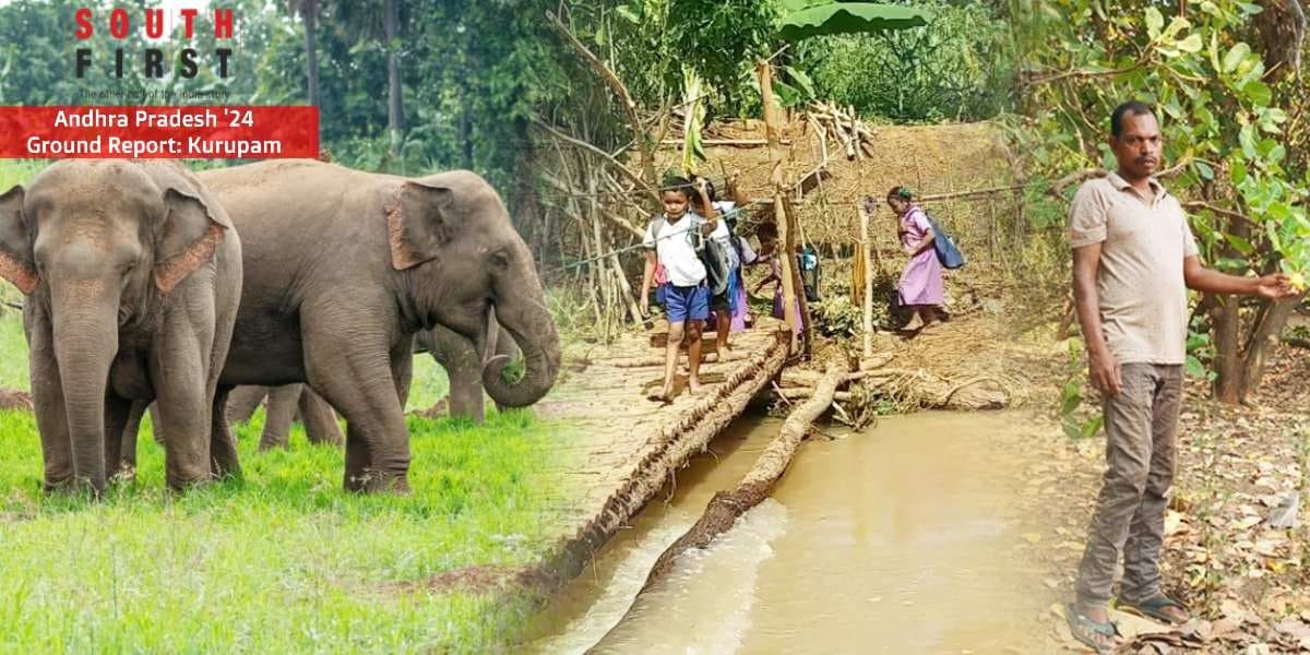Elephants, cashews, a bridge leave Kurupam voters fuming