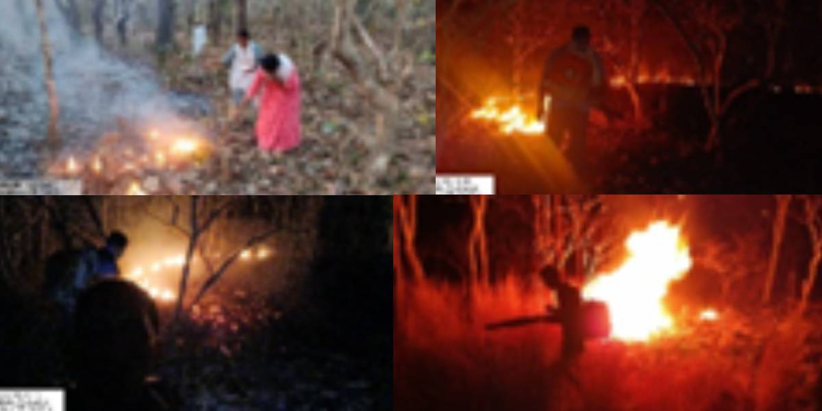 The forest fires in interiors of Telangana
