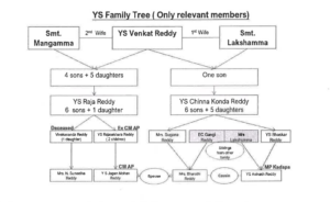 YS Family Tree.